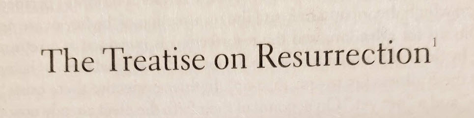 Reality and Knowledge in the Treatise on Resurrection